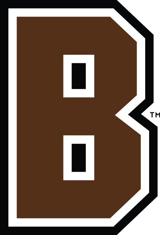 Brown Bears 2003-Pres Alternate Logo v2 iron on transfers for clothing